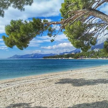 Apartment Ivana Makarska Exteriör bild