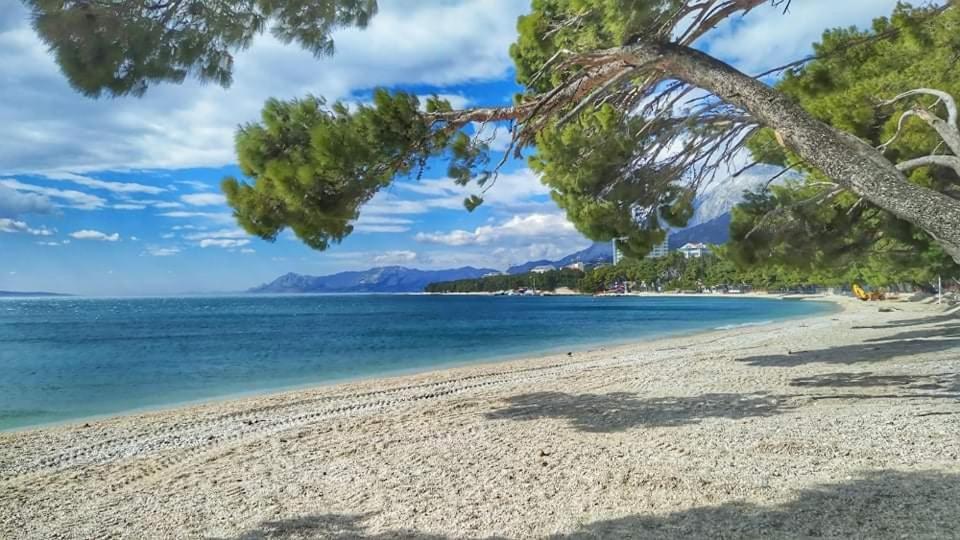 Apartment Ivana Makarska Exteriör bild